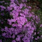 IMG_20160512_164301